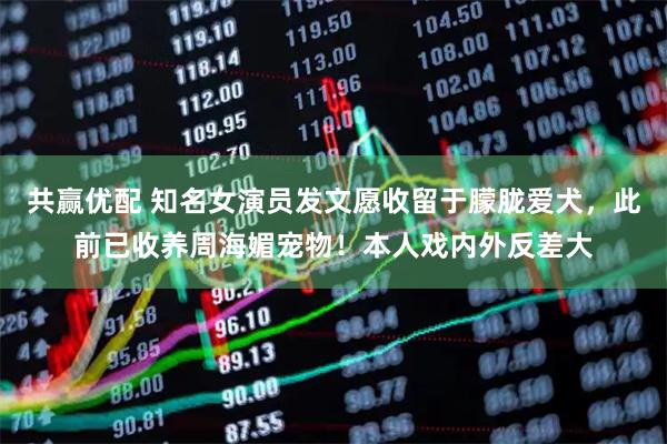 共赢优配 知名女演员发文愿收留于朦胧爱犬，此前已收养周海媚宠物！本人戏内外反差大
