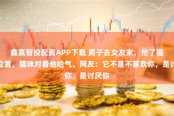 鑫赢智投配资APP下载 男子去女友家，抢了猫咪的位置，猫咪对着他哈气。网友：它不是不喜欢你，是讨厌你