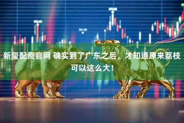 新玺配资官网 确实到了广东之后，才知道原来荔枝可以这么大！