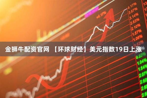 金狮牛配资官网 【环球财经】美元指数19日上涨