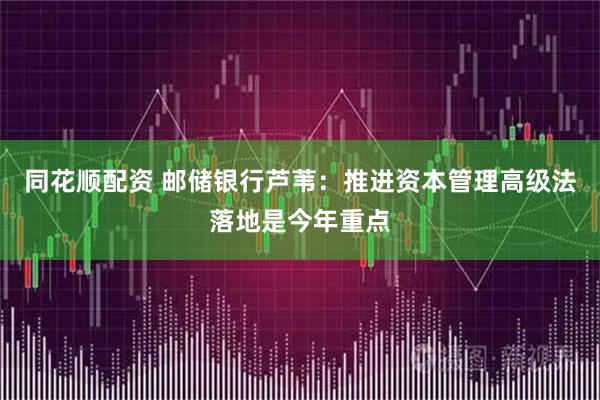 同花顺配资 邮储银行芦苇：推进资本管理高级法落地是今年重点
