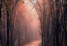 配资炒股论坛平台查询:配资平台官网-胜宏科技暴涨6倍以上！滞涨+绩优+低PE行业龙头股揭晓 13股上榜